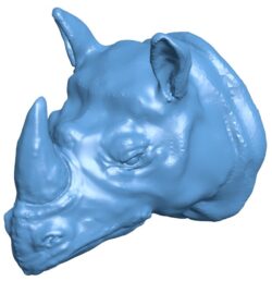 Rhino head